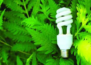 لامپ های کم مصرف چقدر در مصرف انرژی صرفه جویی می کنند
