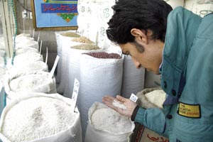 بحران غذا در جهان و اثر آن بر اقتصاد ایران