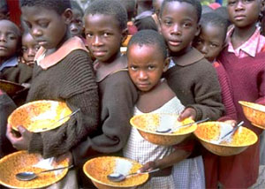 بحران جهانی غذا علل و راه حل ها