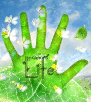 ۵ افسانه در مورد انرژی های سبز