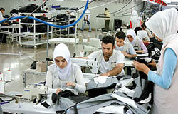 نهادهای بازار کار و حمایت از نیروی کار ایرانی
