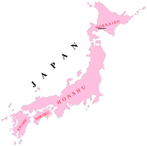 اقتصاد نخاله ای ژاپن