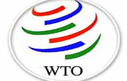 الحاق به WTO به منزله «غنی سازی اقتصادی»