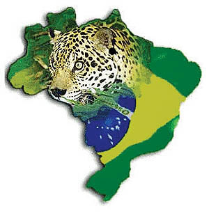 رونق دولت گرایی در برزیل