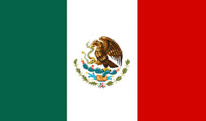 انتخابات ریاست جمهوری مکزیک