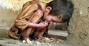 جهان نگران ادامه بحران غذا
