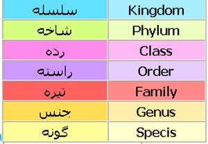 فسیل شناسی