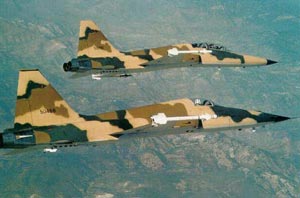 جنگنده شکاری F ۵ Tiger