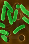 بررسی نقش باکتری ها در حذف ترکیبات مغذی از فاضلاب های شهری