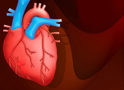 ابداع روش جدید برای درمان گرفتگی عروق کرونری قلب به روش گیاهی