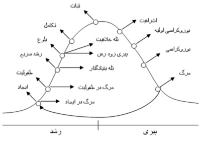 تفویض اختیار و رابطه ی آن با دوره های عمر سازمان