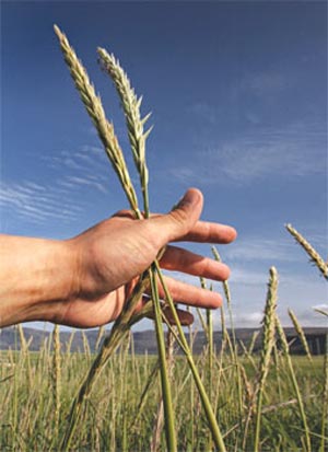 سهم ما از زندگی در جهان معاصر