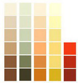 الگوهای انتخاب و کاربرد رنگ در دکوراسیون داخلی ساختمان