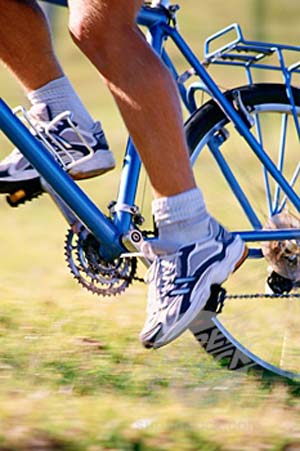 دوچرخه سواری وبهبود فیزیک بدن