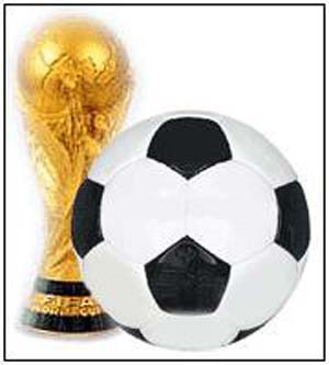 نگرانی های میزبان جام جهانی ۲۰۱۰