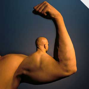 ۷ روش برای افزایش حجم بازو
