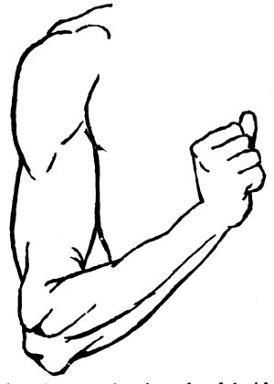 تقویت عضلات پشت بازو