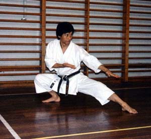 بودو کاراته Budo Karate