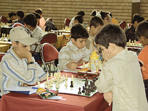 شطرنج ,علم, هنر و ورزش