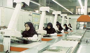 کارآفرینی زنان در ایران