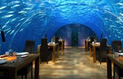 ۶ هتل فوق العاده در زیر آب