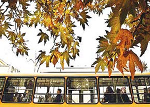 پاییزگردی در تهران