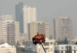 تنها یک روز پاک, سهم تهرانی ها از هوای امسال پایتخت