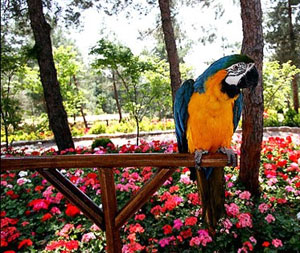 باغ پرندگان تهران چه ویژگی هایی دارد