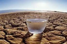 دغدغه های محیط زیستی و خیرخواهانه نامداران و جنبه هایی از تلاش آنها برای نجات محیط زیست مردم باید درک کنند که آب کم است