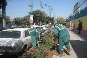 طره گل به چهره شهر می کشد