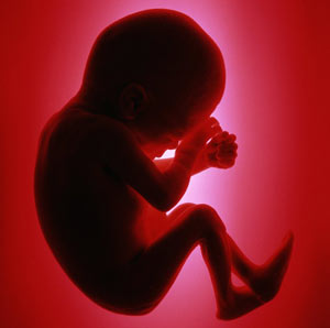 سقط جنین حق یا ناحق