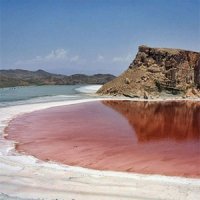 بگذارید دریاچه ارومیه بمیرد چرا کردوانی معتقد است احیای دریاچه ارومیه غیرممکن است سفره های زیرزمینی و چاه ها چه بر سر دریاچه آورده اند