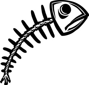 استخوان بندی ماهیها