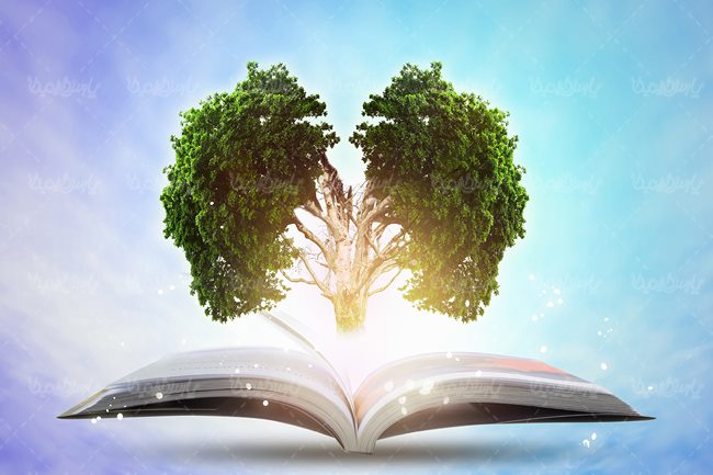 چه ارتباطی بین کتاب و درخت وجود دارد