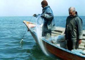 اثرات صید غیر مجاز بر صید پره