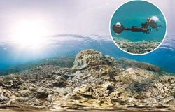آینده صخره های مرجانی در دست بشر