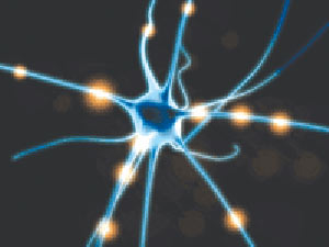 نورون ها و پتانسیل عمل