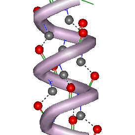 ساختمان RNA