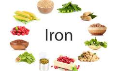 یک ماده معدنی ضروری آهن آهن غذا چگونه جذب بدن میشود