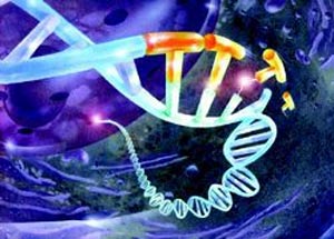 پیامدهای جداسازی بیولوژی سنتزی و مهندسی ژنتیك