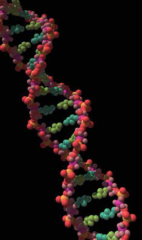 انگشت نگاری DNA