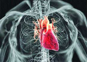 آشنایی با برخی از عوامل مؤثر در ایجاد بیماری قلبی عروقی