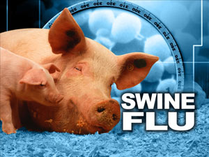 آنفلوآنزای خوکی یک بیماری در کمین