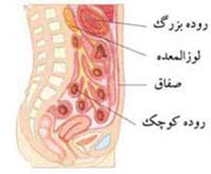 شایع ترین اختلالات لوزالمعده