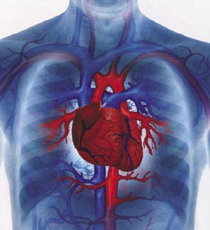 ۲۵ راهکار برای مقابله با بیماری های قلبی عروقی