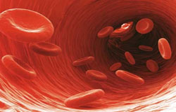 پیش بینی بیماری های قلبی ـ عروقی با آزمایش خون