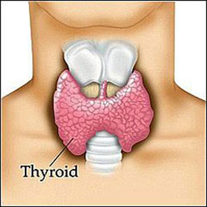 هیپوتیروییدی را با این دو دارو درمان کنید