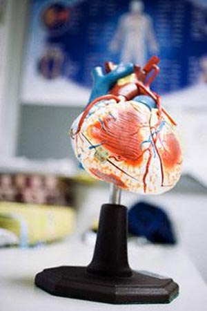 نشانه های بیماری قلبی را بشناسید