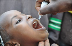 ریشه کنی جهانی فلج اطفال چالش ها و راهکارها
