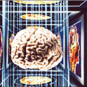 سیستم عامل مغز